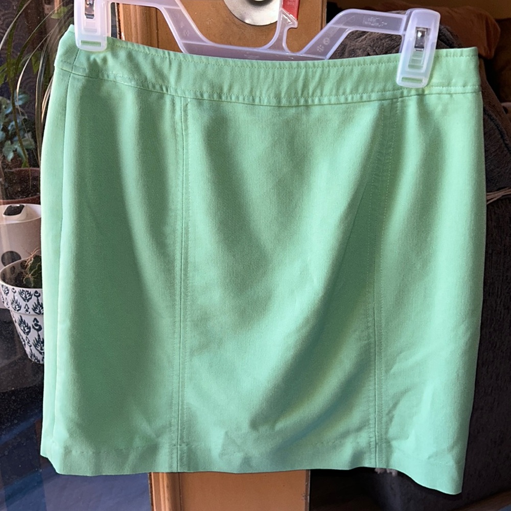 Chadwick’s Women’s Petite Skirt